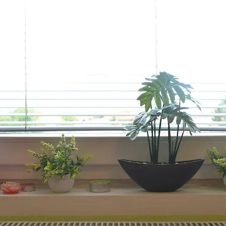 Apartment Ruza *